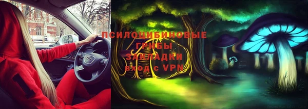 мдпв Волоколамск