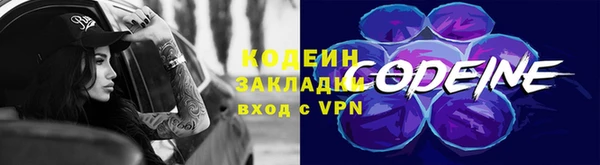 ГАЛЛЮЦИНОГЕННЫЕ ГРИБЫ Вяземский