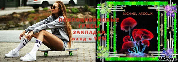 МДПВ Вязьма